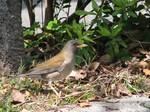 IMG_1003222991-2.jpg