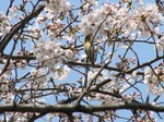 IMG_1003222993-2.jpg