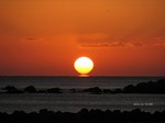 IMG_1003263070-2.jpg