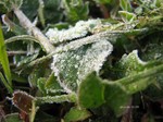 IMG_1003273089-2.jpg