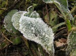 IMG_1003273090-2.jpg
