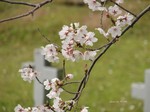 IMG_1003283094-2.jpg
