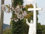 IMG_1003283096-2.jpg