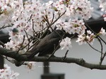 IMG_1003283100-2.jpg