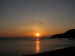 IMG_1003293142-2.jpg