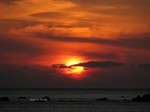 IMG_1003293159-2.jpg