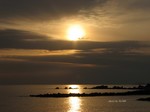 IMG_1003303185-2.jpg