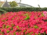 IMG_1003313192-2.jpg
