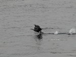 IMG_1004063315-2.jpg