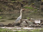 IMG_1004063316-2.jpg