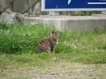 IMG_1004143432-2.jpg