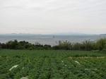 IMG_1004153435-2.jpg