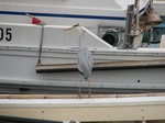 IMG_1004183529-2.jpg