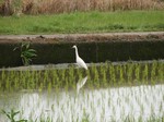 IMG_1004213557-2.jpg